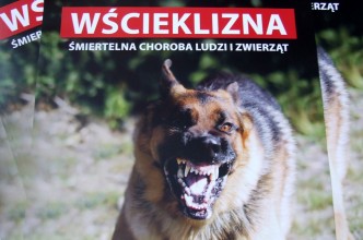 Zdjęcie do:  Trwa akcja szczepienia psów przeciwko wściekliźnie,