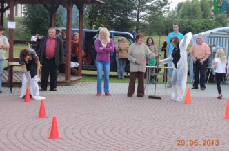 Zdjęcie nr 12 do galerii: Festyn w Trzebiatkowej 29.06.2013