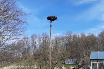 Zdjęcie do:  Nowa konstrukcja pod gniazdo dla bociana