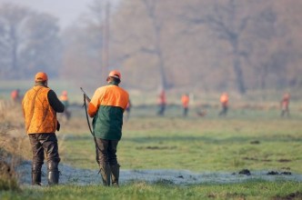 Zdjęcie do:  Terminy polowań zbiorowych