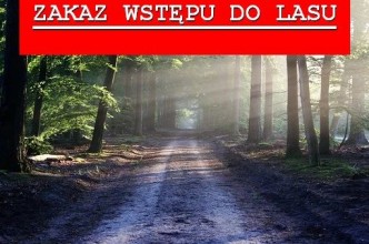 Zdjęcie do:  Zakaz wstępu do lasu