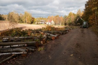 Zdjęcie do:  Wycinka drzew przy drogach gminnych.